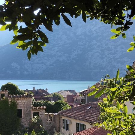 Apartments Montenegro Risan Cuckovic エクステリア 写真