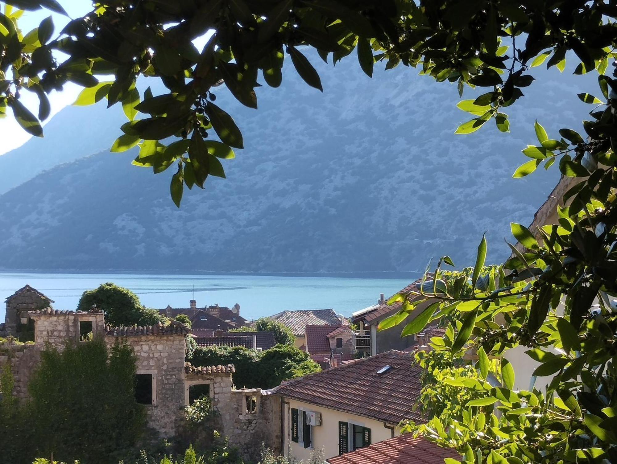 Apartments Montenegro Risan Cuckovic エクステリア 写真